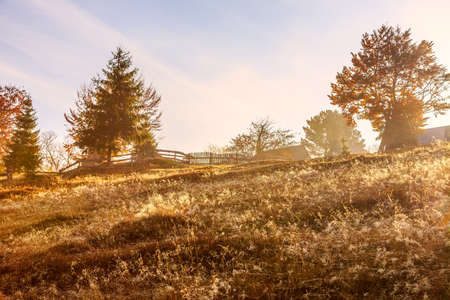 Magical sunrise with tree in Transylvania mountainsの写真素材