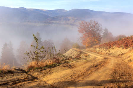 Footpath winding through colorful forest in Transylvania-Romaniaの写真素材