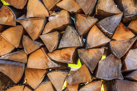 Background of dry chopped firewood logs in a pile