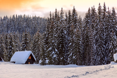 Winter landscape,pines and cottage covered with snow, Pokljuka, Sloveniaの写真素材