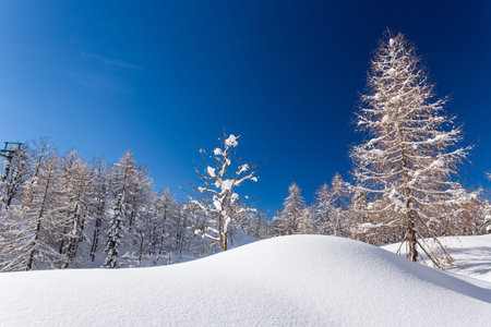 Winter landscape near Vogel ski center in mountains Julian Alps, Slovenia