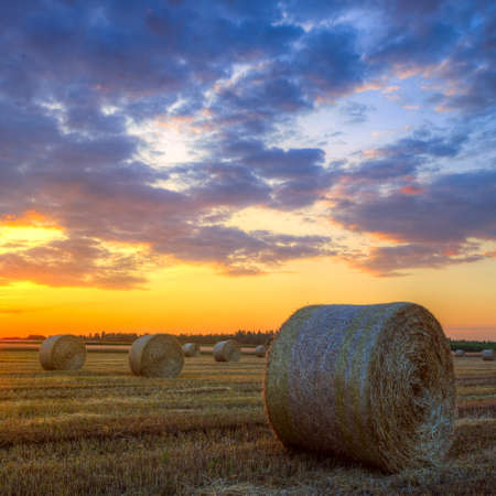 End of day over field with hay bale in Hungary- this photo made by HDR technicの写真素材