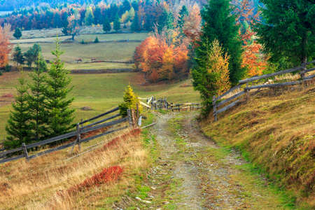 Morning in Carpathians mountain Transylvania,Romaniaの写真素材
