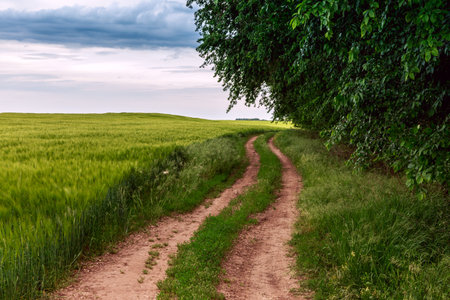 Summer landscape with green grass, road and clouds in Hungary