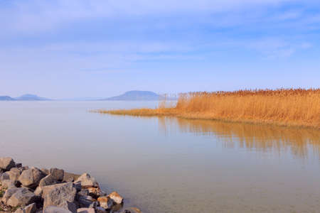 Lake Balaton in Hungary in summerの写真素材