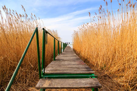 Wooden pier in tranquil lake Balaton-Hungaryの写真素材