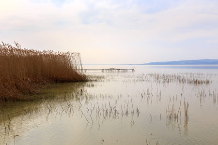Lake Balaton in Hungary in summerの写真素材