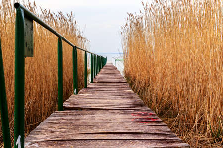 Wooden pier in tranquil lake Balaton-Hungaryの写真素材