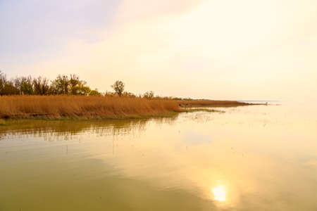 Lake Balaton in Hungary in summerの写真素材