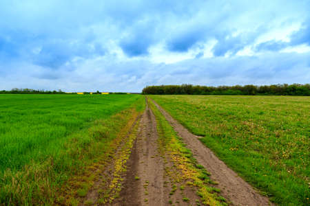Road lane and deep sky in Hungaryの写真素材
