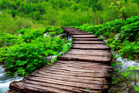 Wooden path in National Park of Plitvice in Croatiaの写真素材