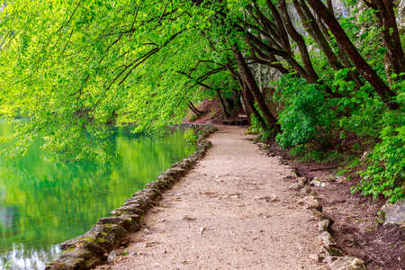 Path near a forest lake in Plitvice Lakes National Park, Croatiaの写真素材