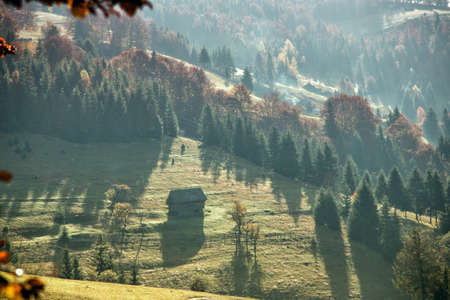 Colorful autumn landscape in the mountain village,  morning in the Carpathian mountains. Transylvania,Romania Europe.の写真素材