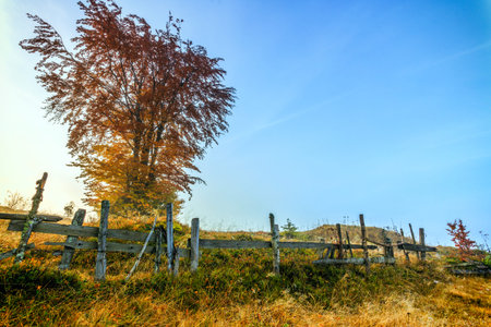 Colorful autumn landscape morning in the Carpathian mountains. Transylvania,Romania. Europe.
