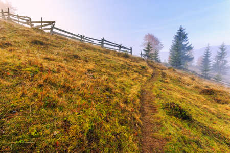 Colorful autumn landscape scene with fence in Transylvania mountain-Romaniaの写真素材