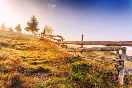 Colorful autumn landscape scene with fence in Transylvania mountain-Romaniaの写真素材