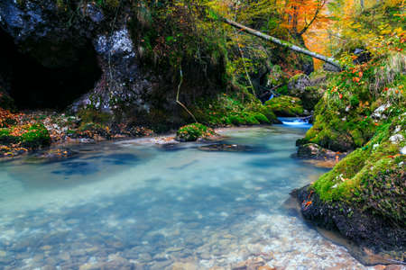 Creek deep in mountain forest in Transylvania,Romaniaの写真素材