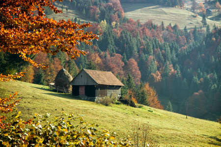 Colorful autumn landscape in the mountain village,  morning in the Carpathian mountains. Transylvania,Romania Europe.の写真素材