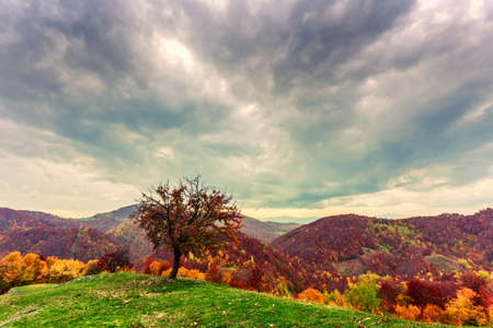 Colorful autumn landscape in the Carpathian mountains. Transylvania,Romania. Europe.の写真素材