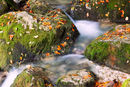 River cascade in a forest in Transylvania mountains-Romaniaの写真素材