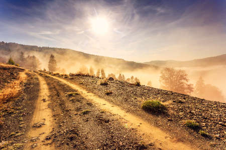 Colorful autumn road  landscape in the mountains in Transylvania, Romania.の写真素材