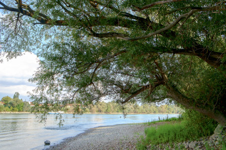 Danube river in summer in Hungaryの写真素材