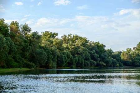 Danube river in summer in Hungaryの写真素材