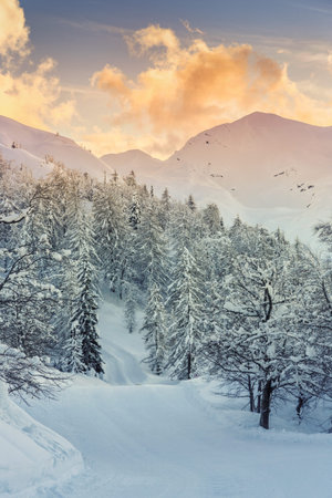 Ski center of Vogel, Triglav natural park, Julian Alps, Slovenia, Europe.
