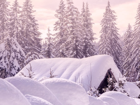 Winter holiday house in slovenia alps-Europe