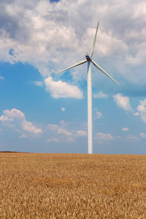 Wind generators turbines on wheat field in Romania