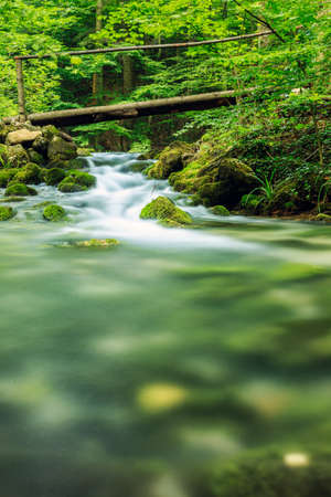 River deep in mountain forest  in Cheile Nerei national park -Romaniaの写真素材