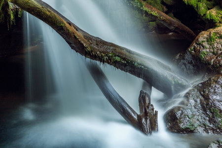 Cascada La Vaioaga in Cheile Nerei national park -Romania