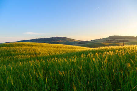 Landscape in Tuscany at sunset in summerの写真素材