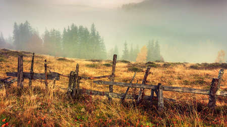 Colorful autumn landscape scene with fence in Transylvania mountain-Romaniaの写真素材
