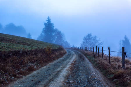 Colorful autumn road  landscape in the mountains in Transylvania, Romania.の写真素材