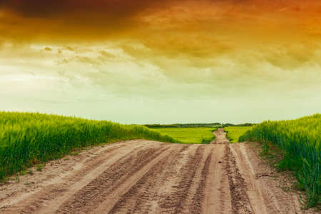 Summer landscape with green grass, road and clouds in Hungaryの写真素材