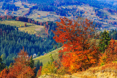 Colorful autumn landscape in the Carpathian mountains. Transylvania,Romania. Europe.の写真素材