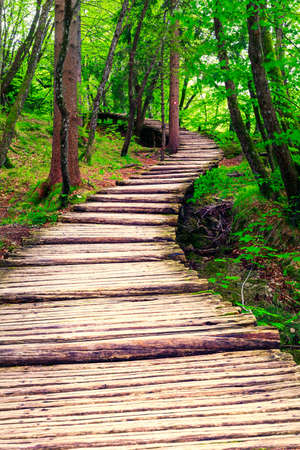 Boardwalk in the park Plitvice lakes, Croatiaの写真素材