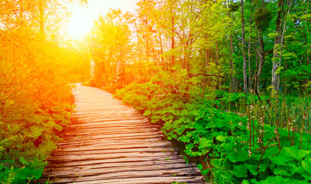 Wooden path in National Park in Plitvice in Croatiaの写真素材