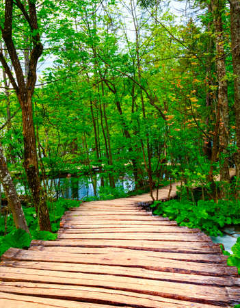 Wooden path in National Park in Plitvice in Croatiaの写真素材