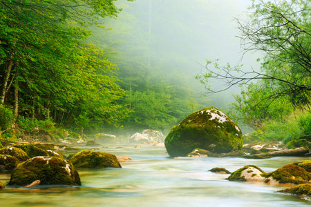 Canyon Mostnica near lake Bohinj in Slovenia (Mostnice Korita)