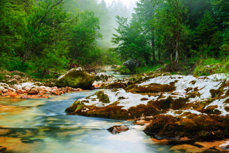 Canyon Mostnica near lake Bohinj in Slovenia (Mostnice Korita)の写真素材