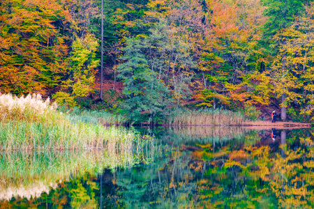 Autum forest lake Kozjak in Plitvice National Parkの写真素材