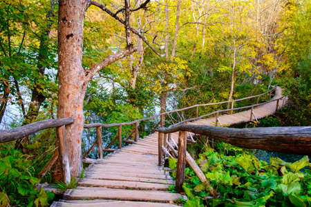 Boardwalk in the Plitvice National Park in Croatiaの写真素材