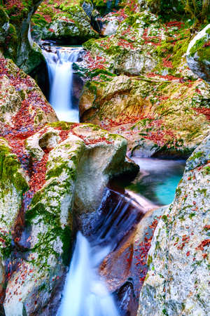Mountain creek autumn in the Lepena valley in Sloveniaの写真素材