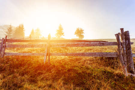 Colorful autumn landscape scene with fence in Transylvania mountain-Romaniaの写真素材