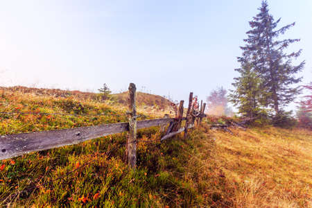 Colorful autumn landscape scene with fence in Transylvania mountain-Romaniaの写真素材