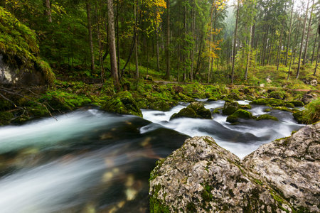 A rapid  mountain creek running deep in a dense forest near Golling an der Salzach in Austria, Europeの写真素材