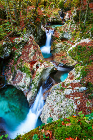 Mountain creek autumn in the Lepena valley in Sloveniaの写真素材