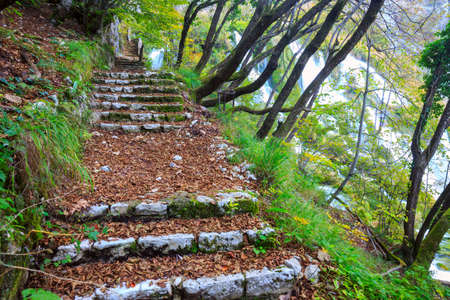 Beautiful autumn scene in Plitvice National Park in Croatiaの写真素材